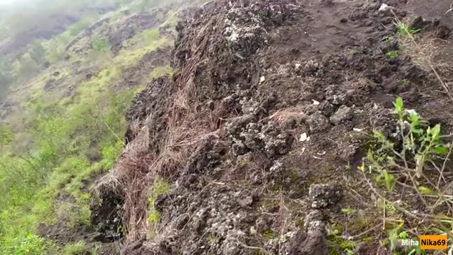 Gliel'ho succhiato in cima al Monte Hoverla